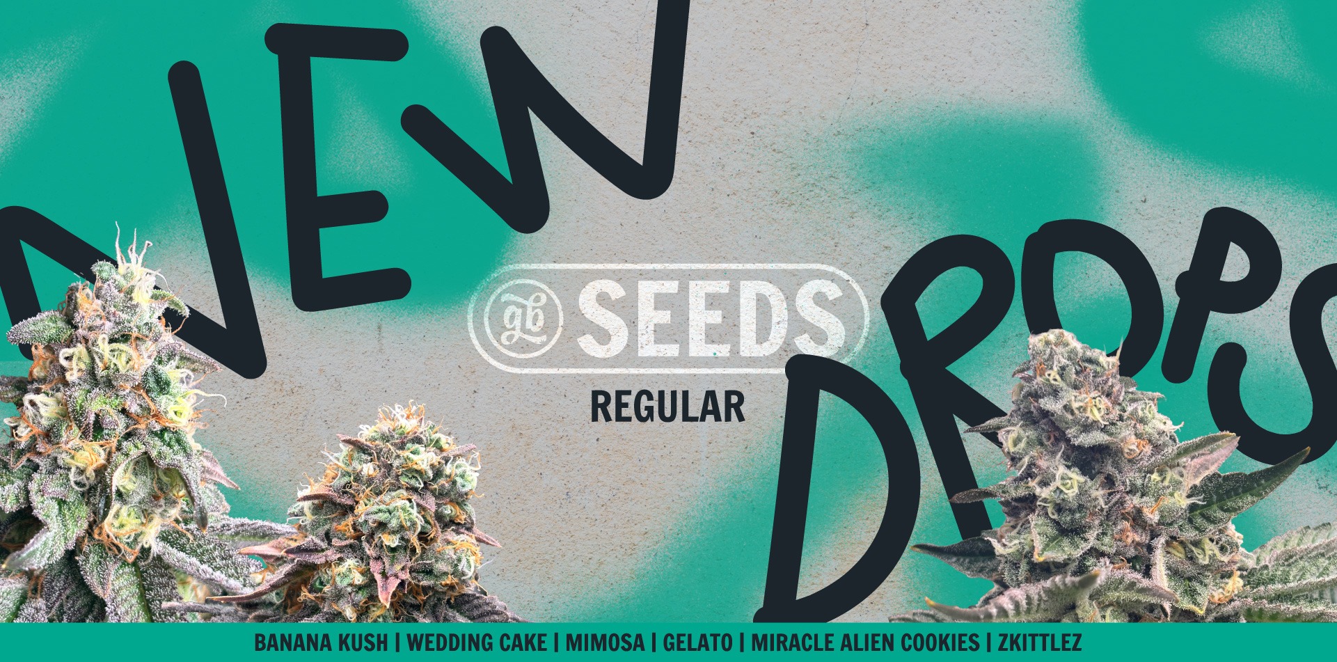 Seeds collection — regular line