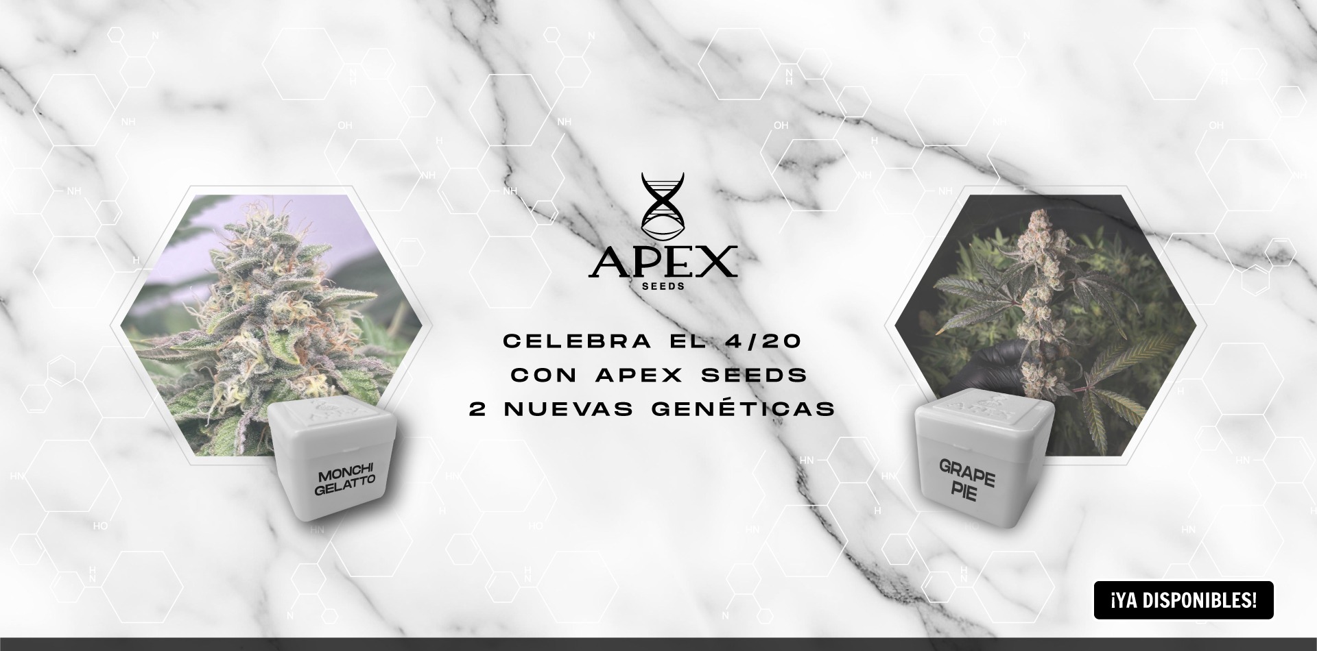 Apex 2026 campaign